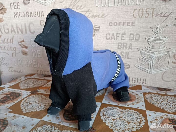 Одежда для собак