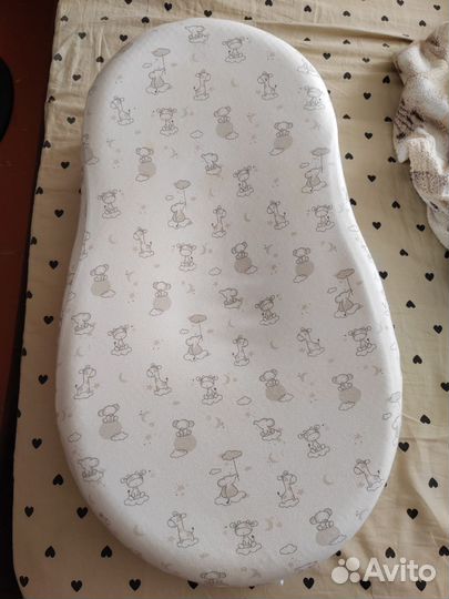 Кокон зевушка