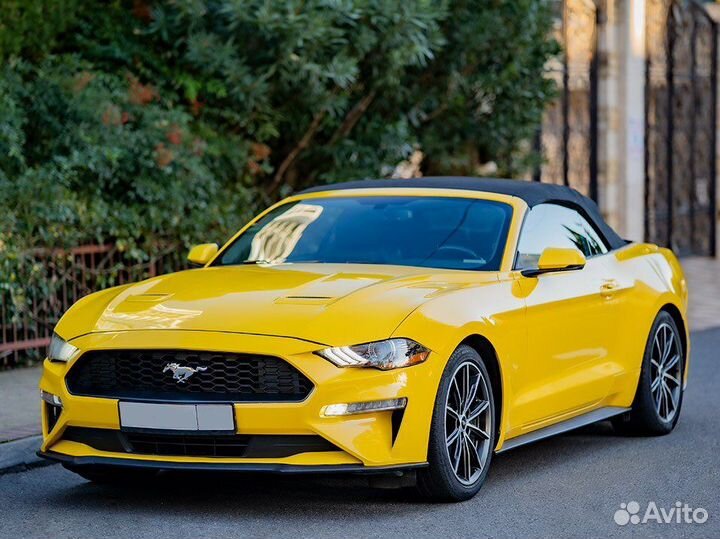 Прокат Ford Mustang кабриолет Сочи Адлер Сириус