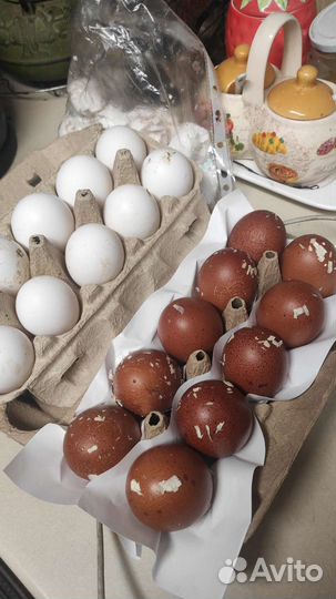 Яйцо куриное,перепелиные,утки домашнее