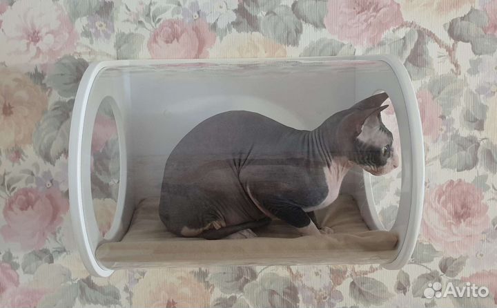 Дизайнерские домики для кошек