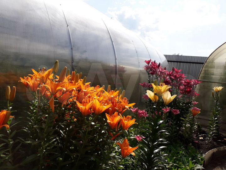 Дом 56,1 м² на участке 8,9 сот.