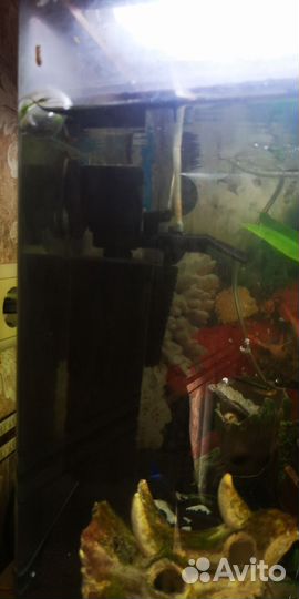 Аквариум 100 литров