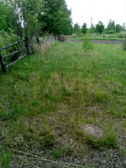 Участок 25 сот. (ИЖС)