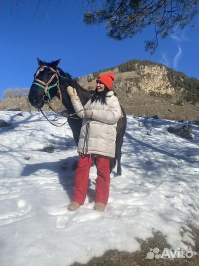 Конный прокат