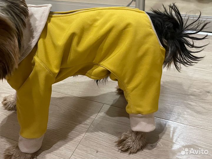 Дождевик для маленьких собак