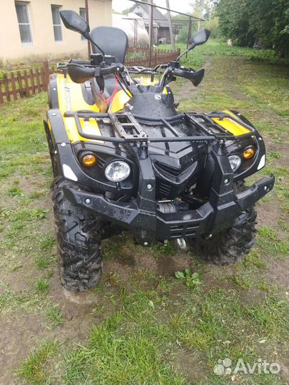 Снегоболотоход