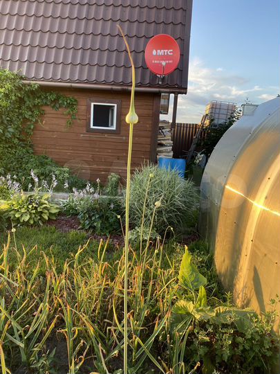 Дом 72,2 м² на участке 10 сот.