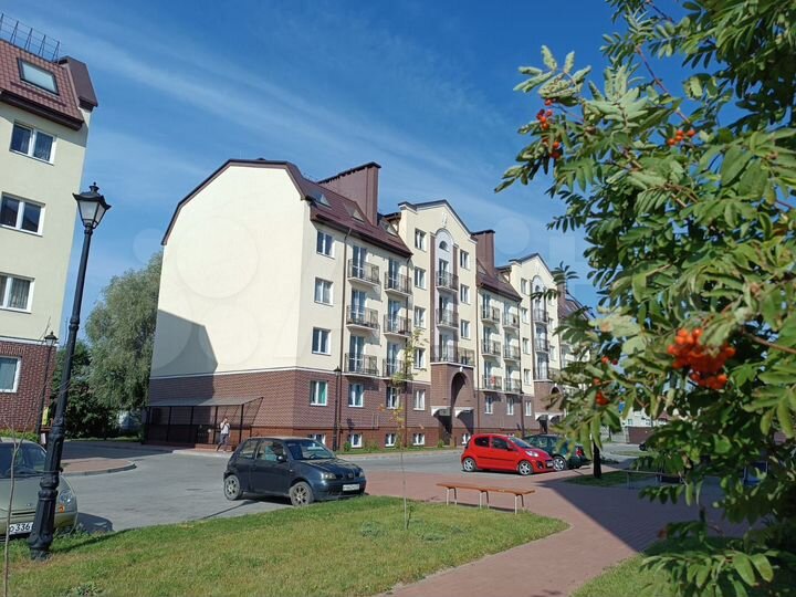 1-к. квартира, 50,4 м², 3/7 эт.