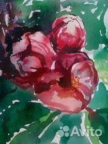 Картина акварелью цветы