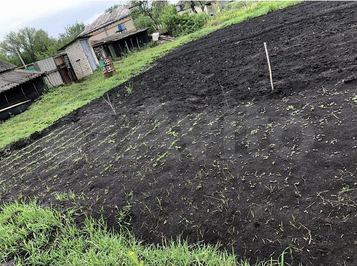 Дом 35 м² на участке 50 сот.