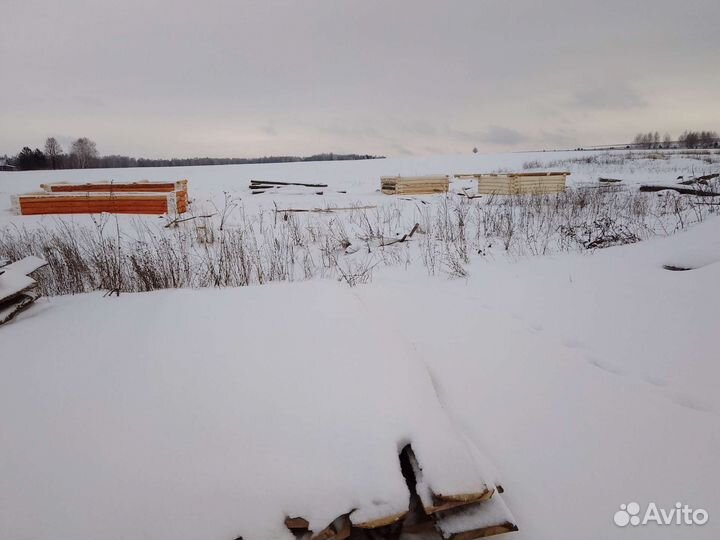 Сруб бани из липы