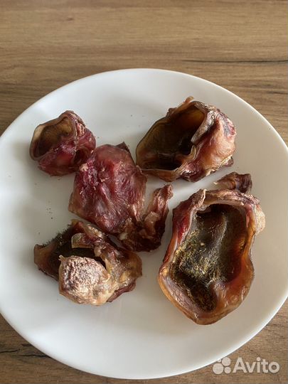 Лакомства для собак