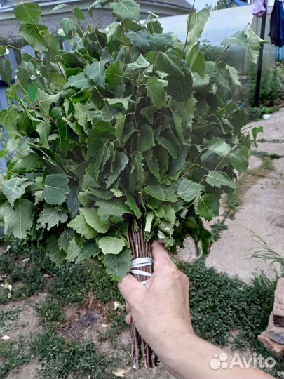 Веники для бани оптом душица