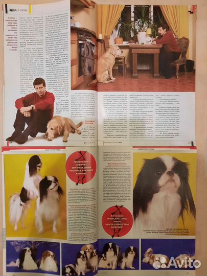 Журналы Друг и Между кошкой и собакой