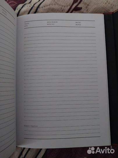 Ежедневник Египет