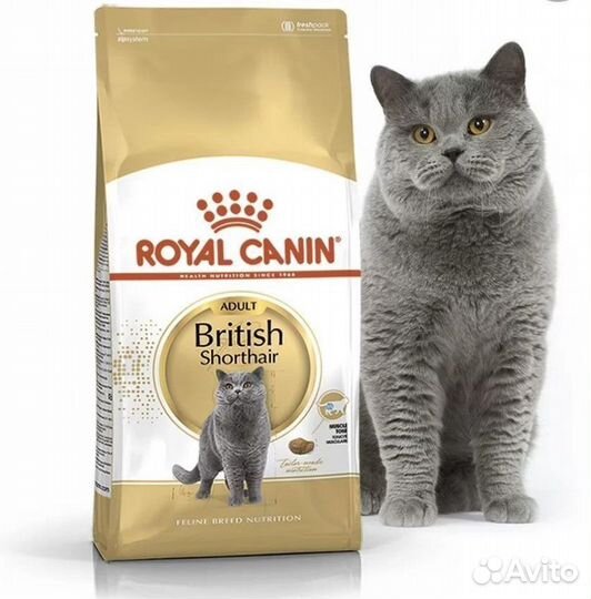 Корма Royal Canin (Роял Канин) для кошек