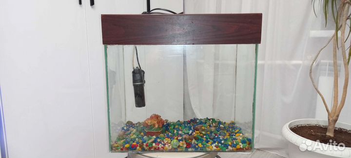Аквариум