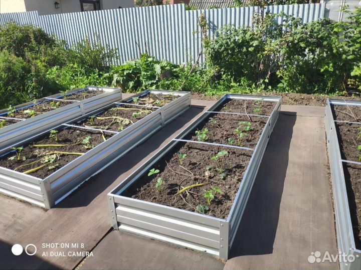 Конвейерная лента бу