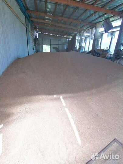 Пшеница, овес