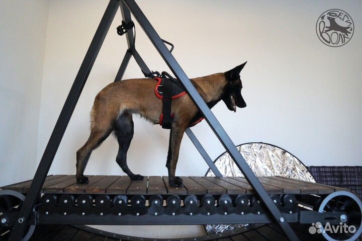 Беговая дорожка для собак механическая