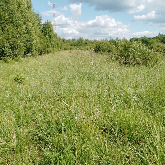 Участок 14,8 сот. (ИЖС)