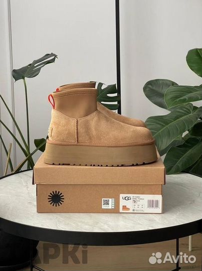 UGG Classic Dipper Boot Mini