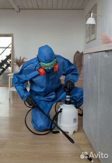 Дезинсекция