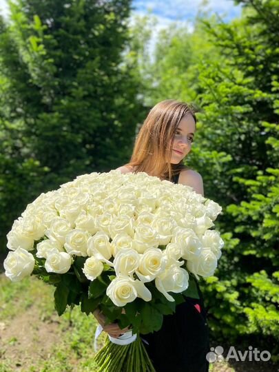 Букет свежих голландских роз 101 шт