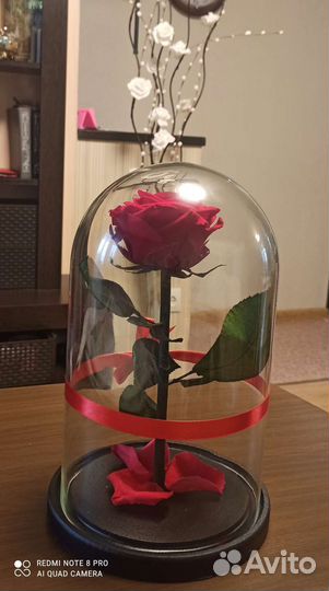 Неувядающая роза в колбе