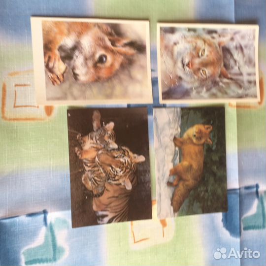 Открытки СССР