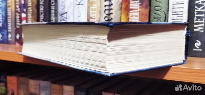 Энн Райс, Лэшер