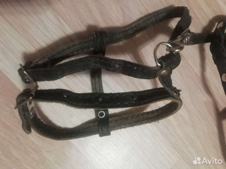 Шлейки маленькие