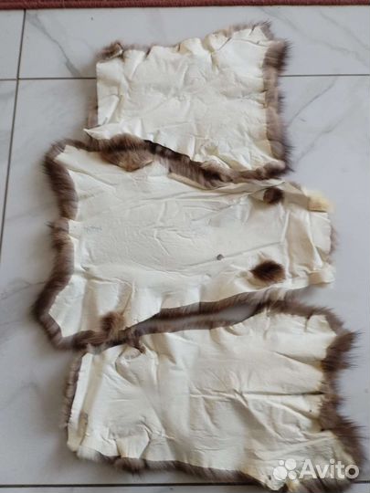 Шкурки соболя