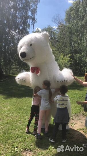 Белый мишка поздравление