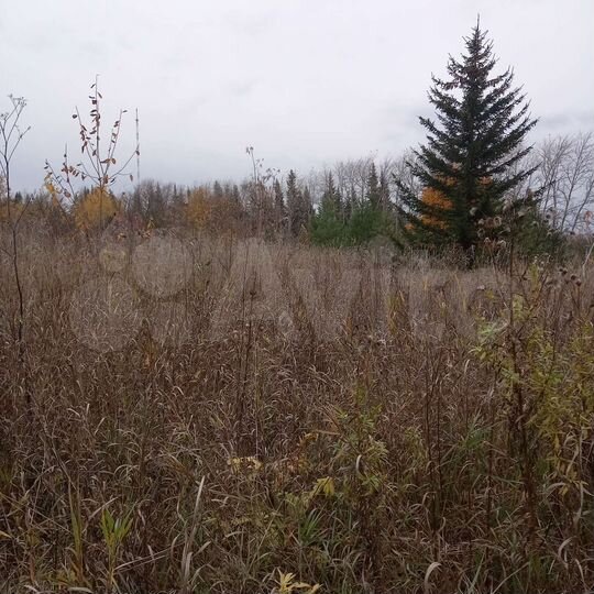 Участок 4 сот. (СНТ, ДНП)