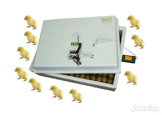 Инкубатор для яиц автомат на 63 яйца, 220 и 12 В