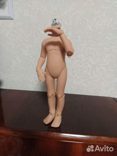 Шарнирное тело для Паола Рейна