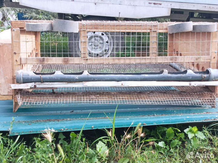 Клетки для перепелов