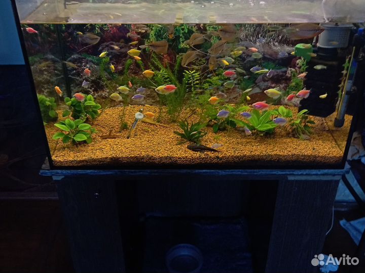 Аквариум с тумбой на 170 л и аквариум на 150 л