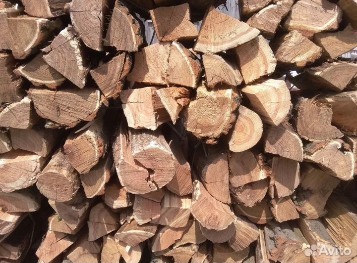 Дрова береза