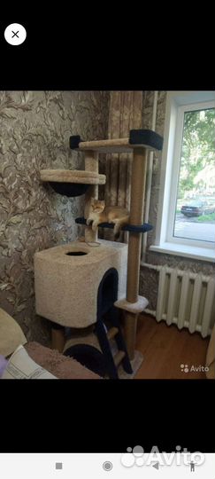 Кошкин дом