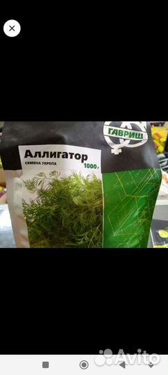 Семена укропа Аллигатор