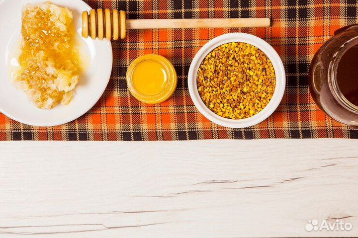 Перга пчелиная 2024