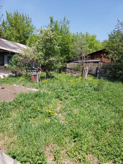 Участок 10 сот. (ИЖС)