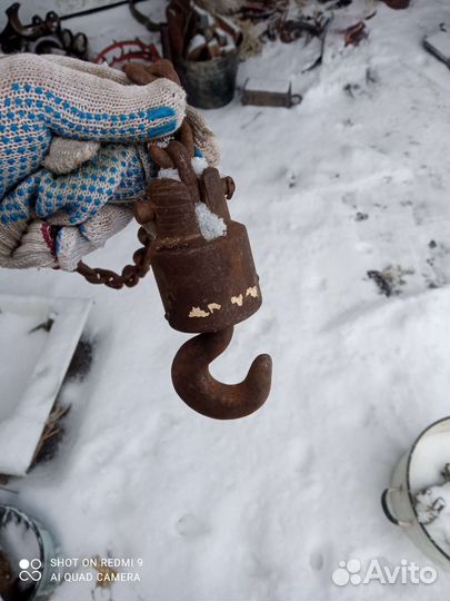 Талька цепная