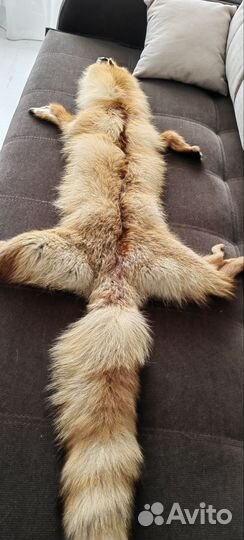 Шкура лисы выделанная