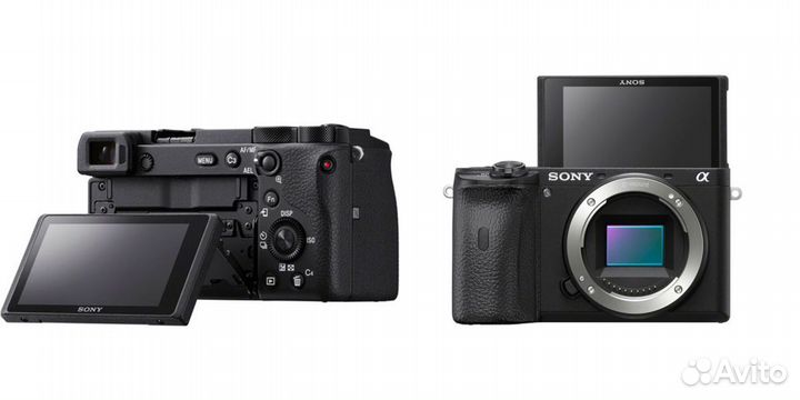 Sony Alpha A6600 Body