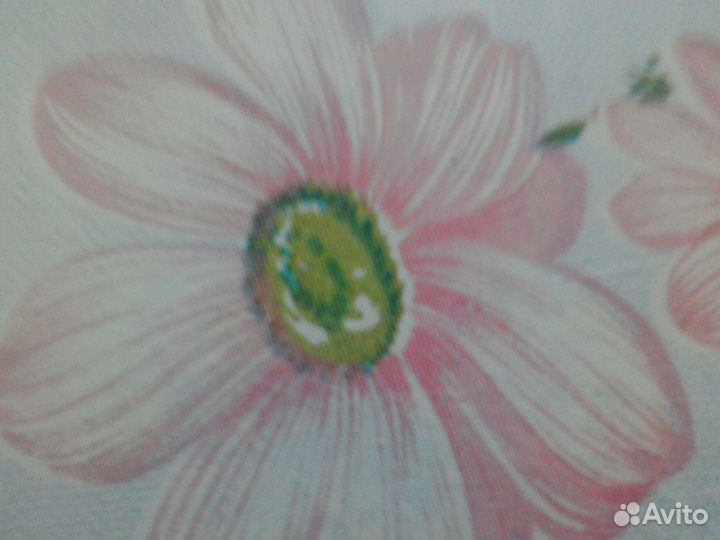 Смородина красная- кусты и ещё, ещё много всего