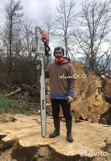 Спил деревьев
